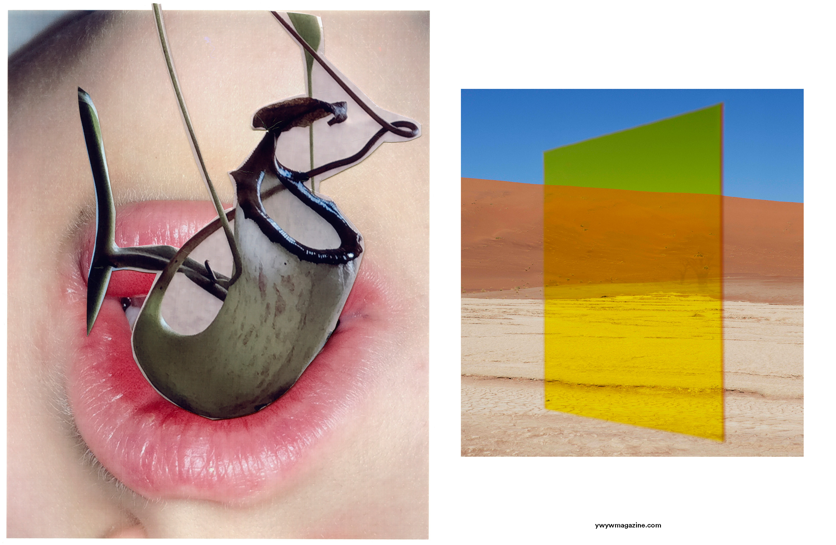 Viviane Sassen – YWYWMAGAZINE