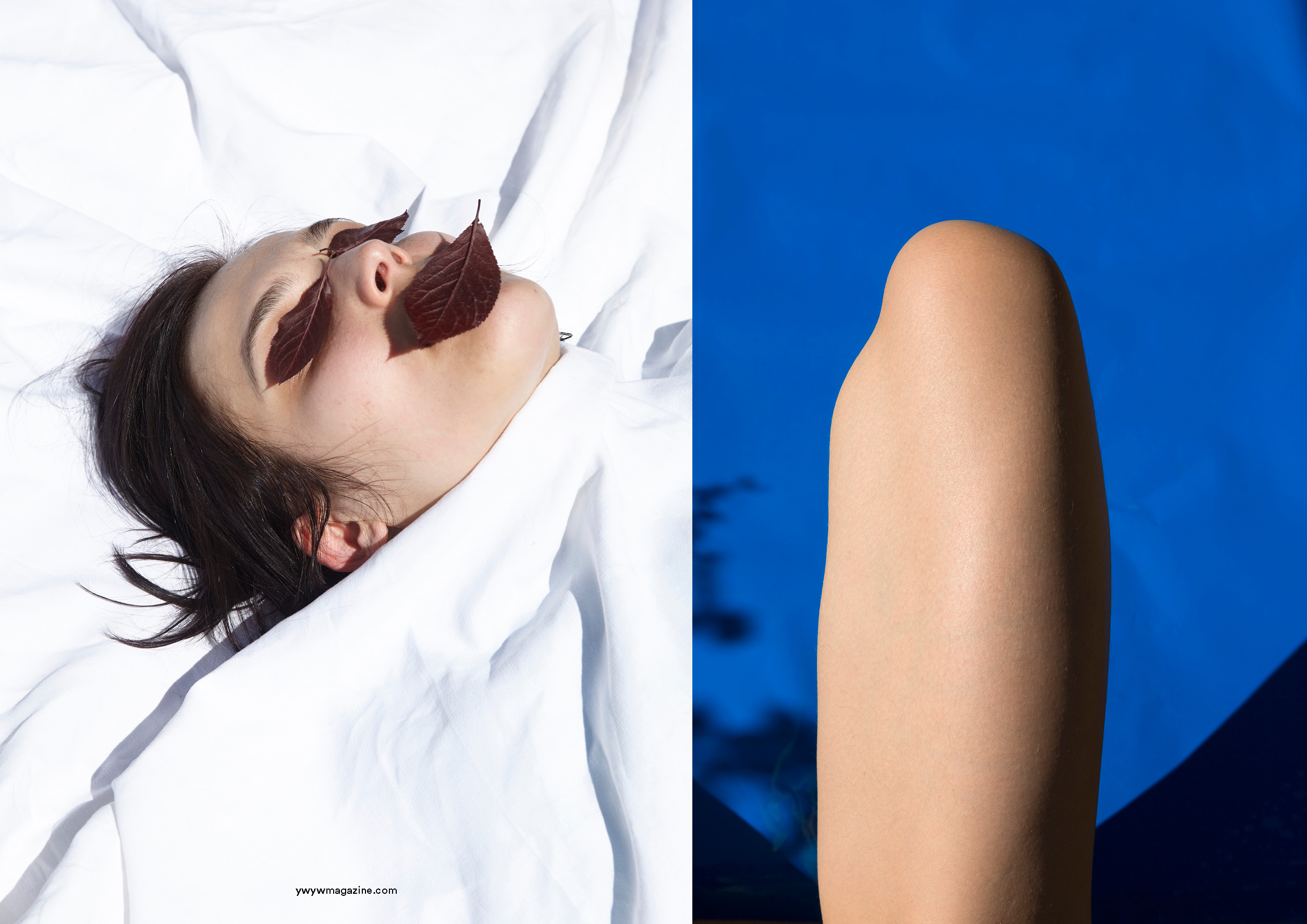 Waking Dream: Viviane Sassen's Fashion Photography