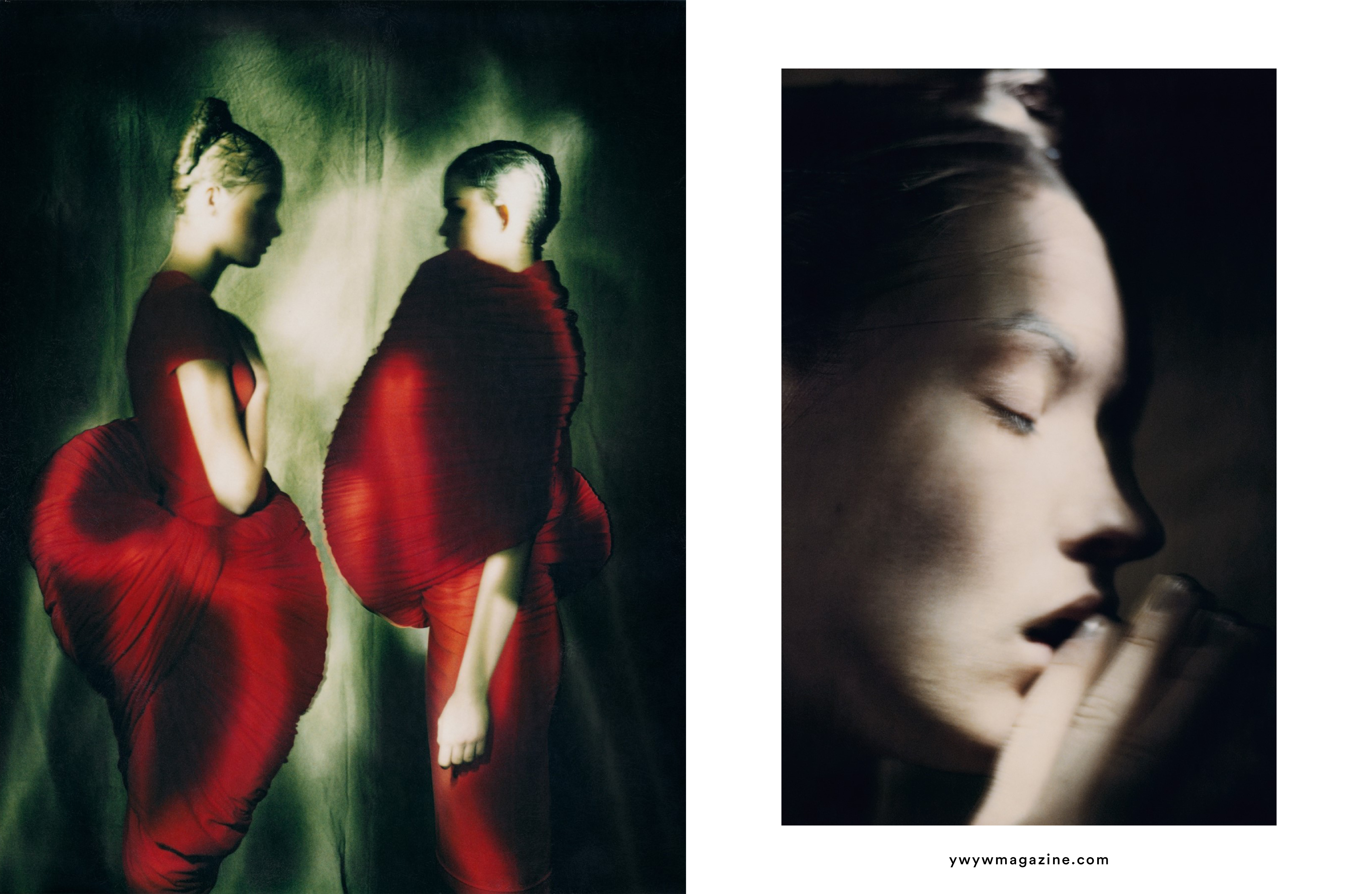 Paolo Roversi “Birds” – YWYWMAGAZINE